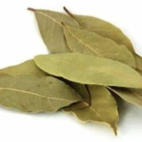 Bay Leaf Tej Patta