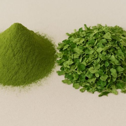 Natural Moringa Leaves Powder