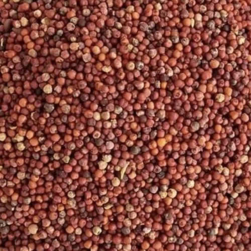 Natural Ragi Finger Millet