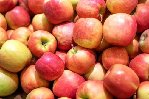 Fresh Honeycrisp Apple