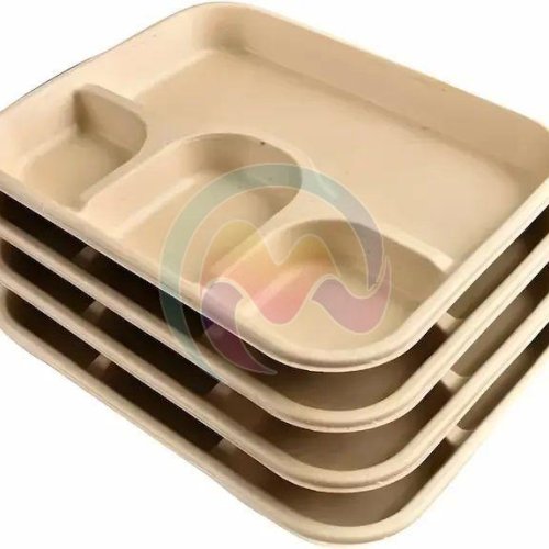 Bagasse Compartment Plates