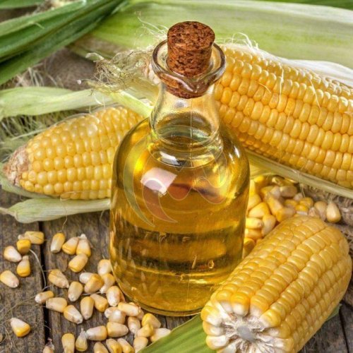 Corn Oil