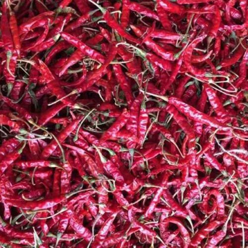 Teja Dry Red Chilli