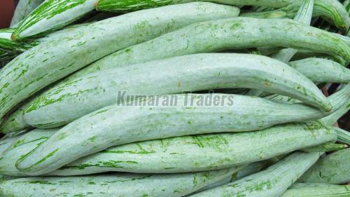 Organic Green Snake Gourd