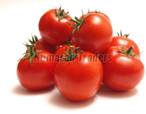 Organic Red Tomato