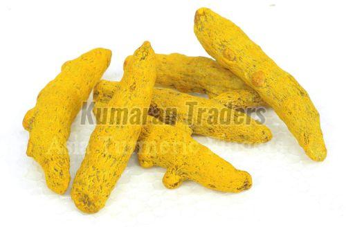 Organic Yellow Turmeric Finger