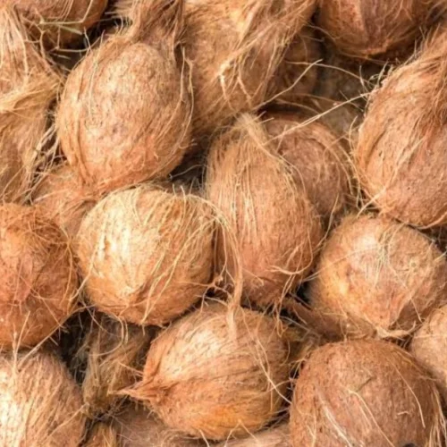 Semi Husked Coconut