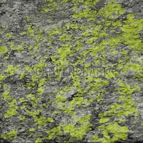 A A9 Indo Tibetan Wool &AMP; Bamboo Silk Rug