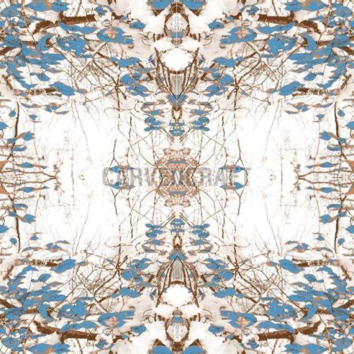 AB5 Indo Tibetan Wool &AMP; Lurex Zari Braided Flat Weave Rug