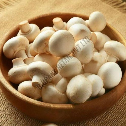 Fresh White Button Mushroom