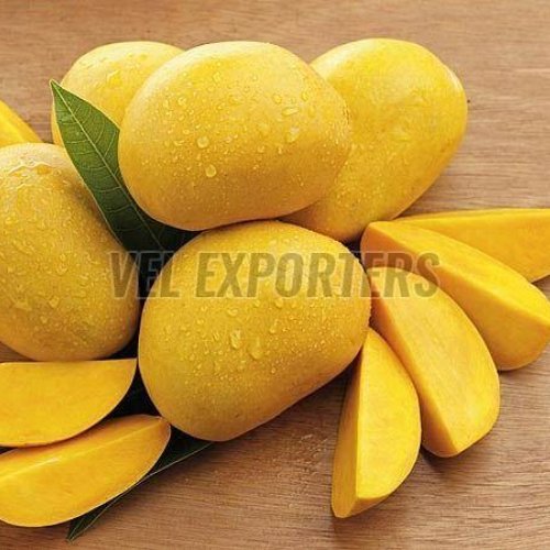 fresh alphonso mango