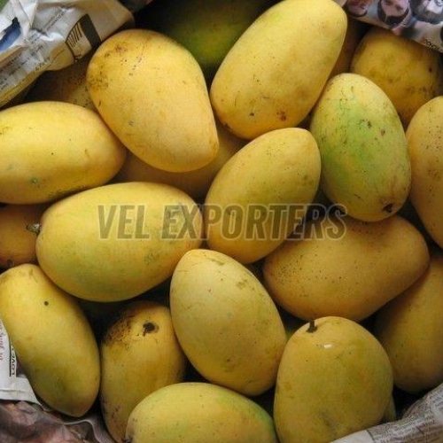 Fresh Chaunsa Mango