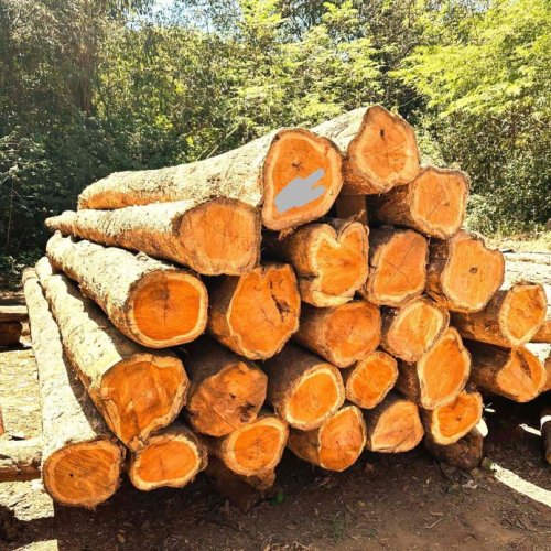 Timber Supply Sourcing Service