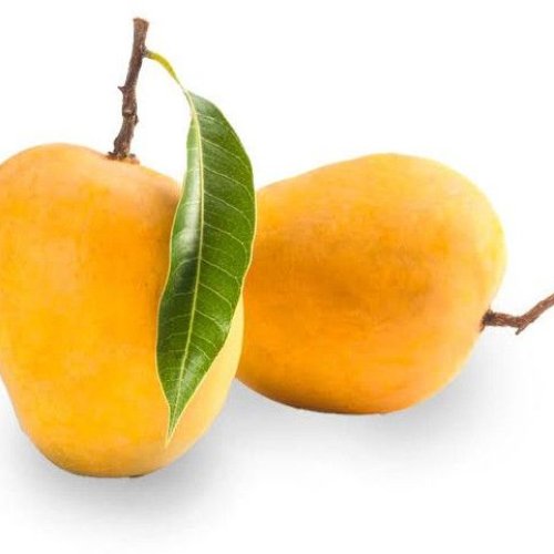 Fresh Alphonso Mango