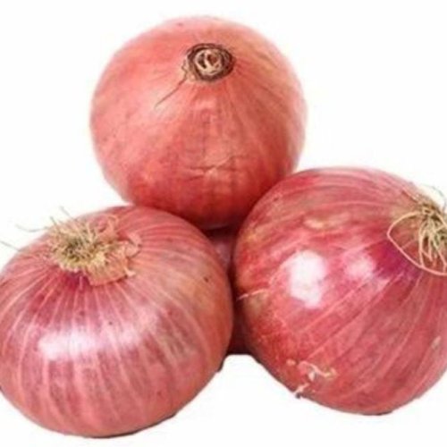 Fresh Red Onion
