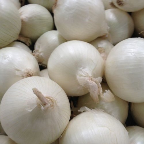 Fresh White Onion