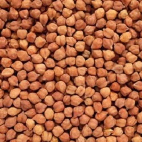 Kala Chana