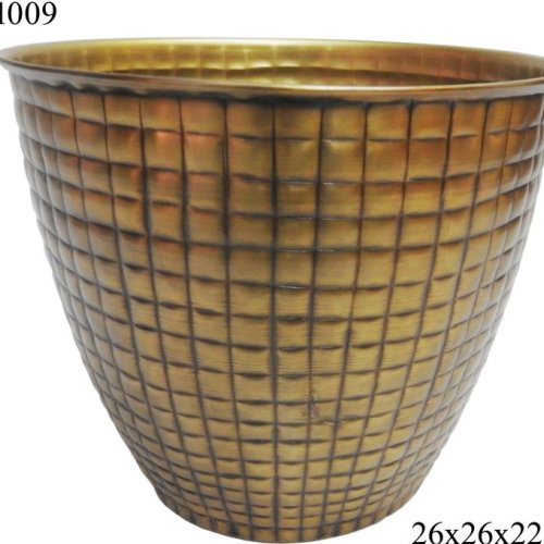 TI-1009 Iron Flower Vases