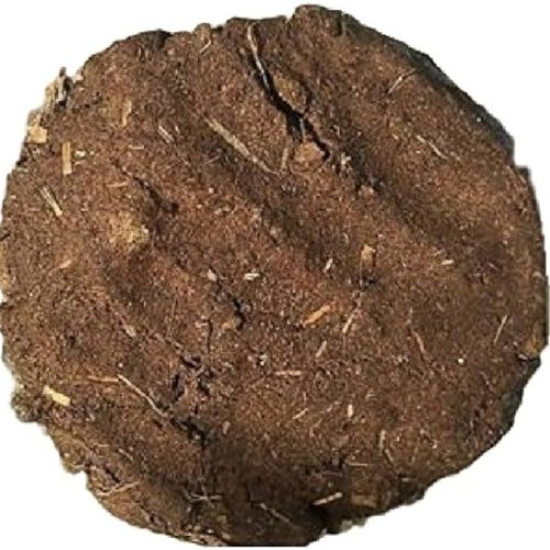 Cow Dung Cake