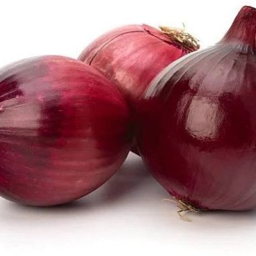 Fresh Red Onion