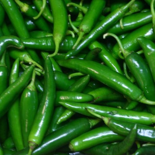 Fresh Green Chilli
