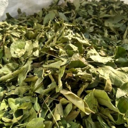 A Grade Dry Curry Leaves