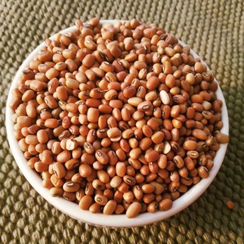 Cowpea Beans