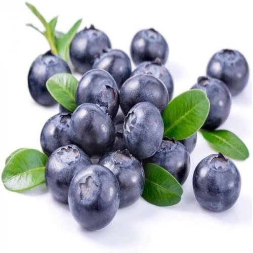 Fresh Natural Blueberry