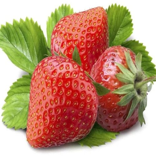 Fresh Red Strawberry