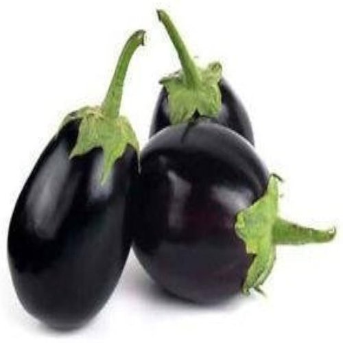 Fresh Round Brinjal