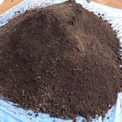 Vermicompost Powder