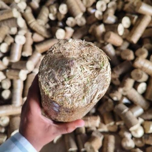 Mustard Stalk Briquette