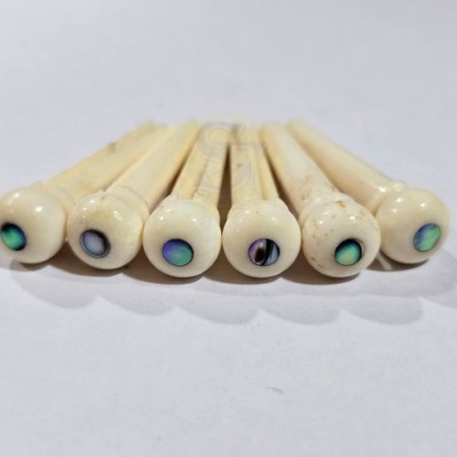 Abalone Bone Bridge Pins