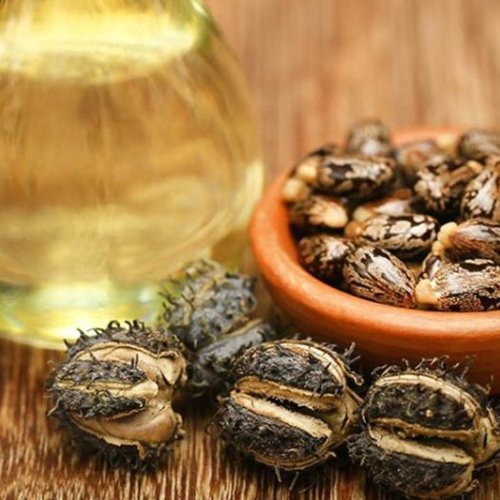 castor oil