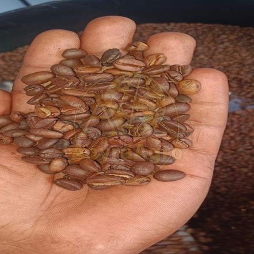 Roasted Coffee Bean