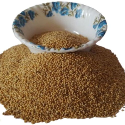 Foxtail Millet