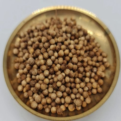 Hybrid Coriander Leaf Seeds