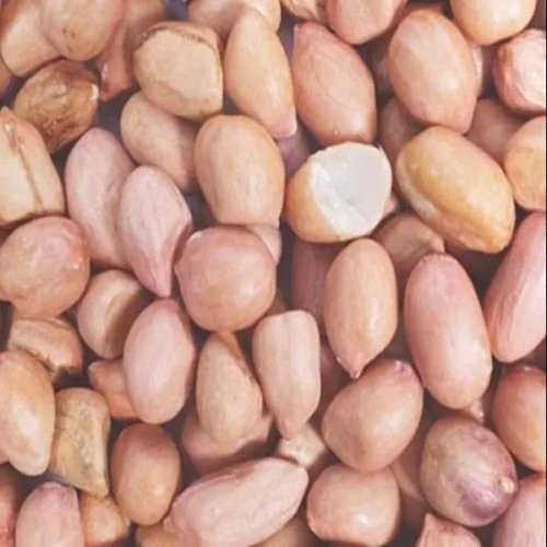 Hybrid Groundnut Seeds