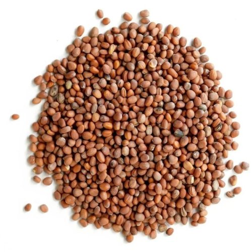 Hybrid Radish Seeds