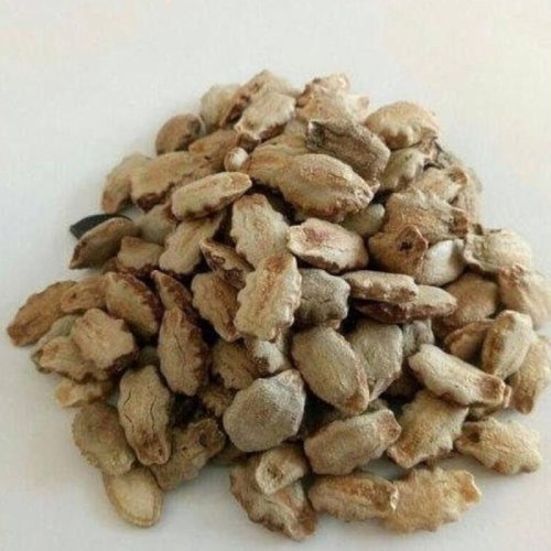 Hybrid Snake Gourd Seeds