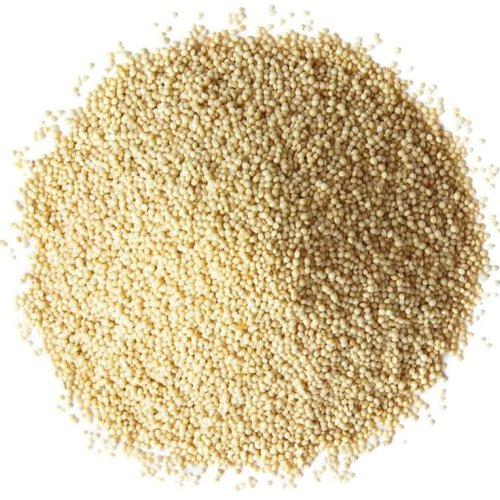 Hybrid Spleen Amaranth Seeds