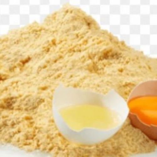 White Egg Albumen Powder