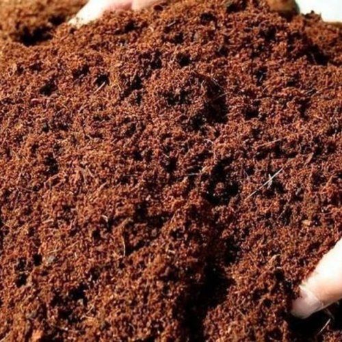 Cocopeat Powder