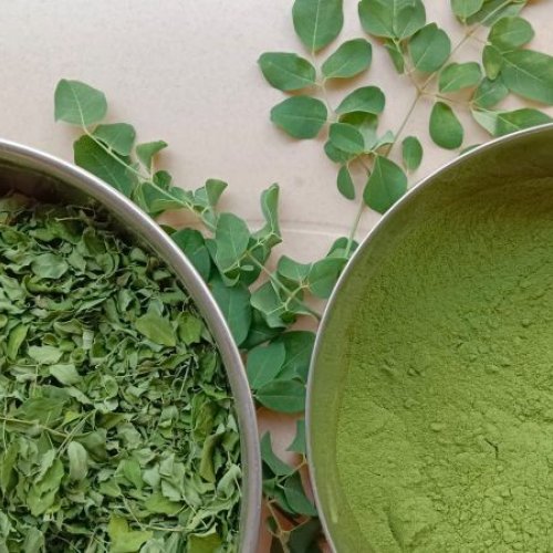 moringa leaf powder
