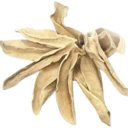 Dehydrated Amchur Slice