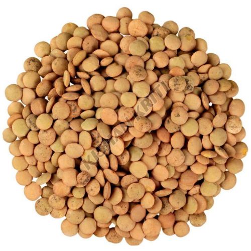 Organic Brown Whole Masoor