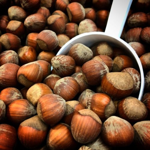 Raw Hazelnuts