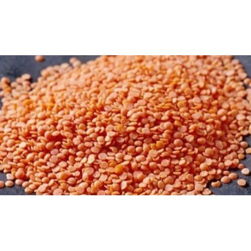 Red Lentils