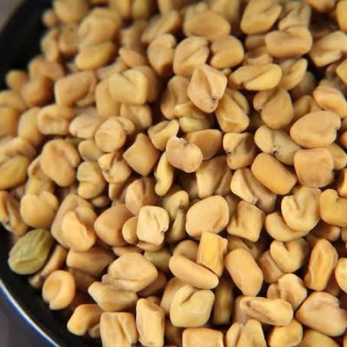 Fenugreek Seed