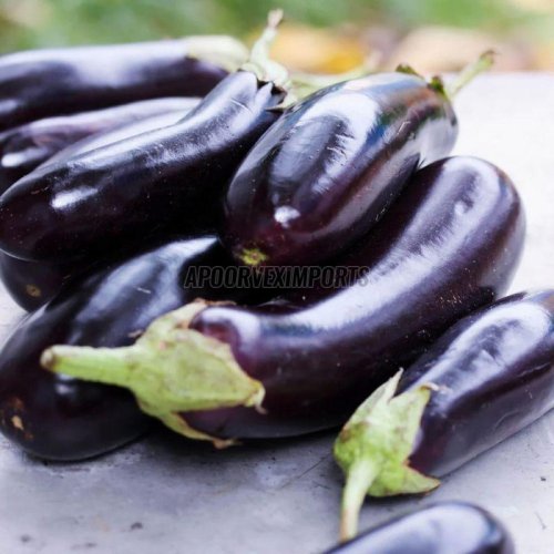 Fresh Egg Plant